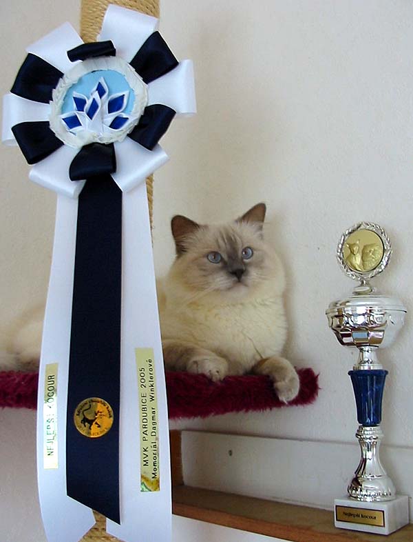  EC Eufrat Koci Szarm, RAG c - EC - Eurochampion